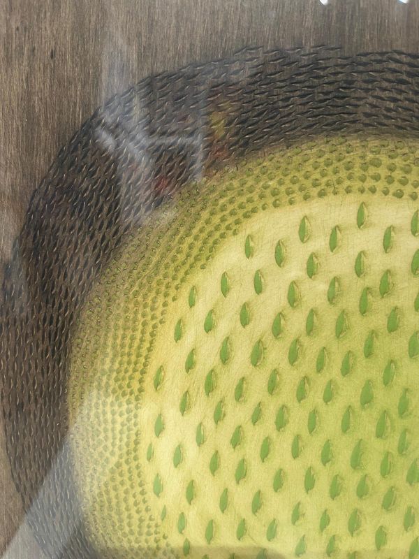 B&eacute;ryl (Stich) - Arthur Luiz  PIZA