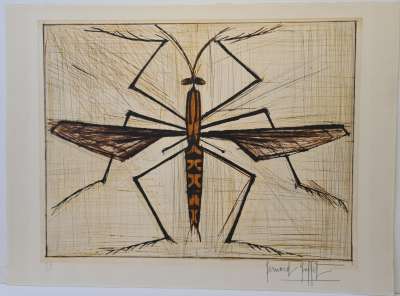 Brown bug (Engraving) - Bernard BUFFET