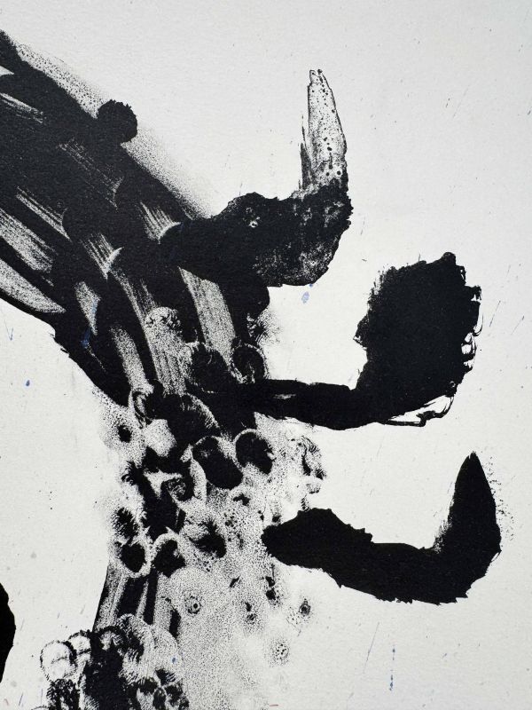 Album 19 - Plate I (Lithograph) — Joan MIRO — Detail view