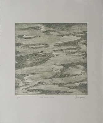 Marée basse verte (Engraving) - Jean-Jacques  DOURNON