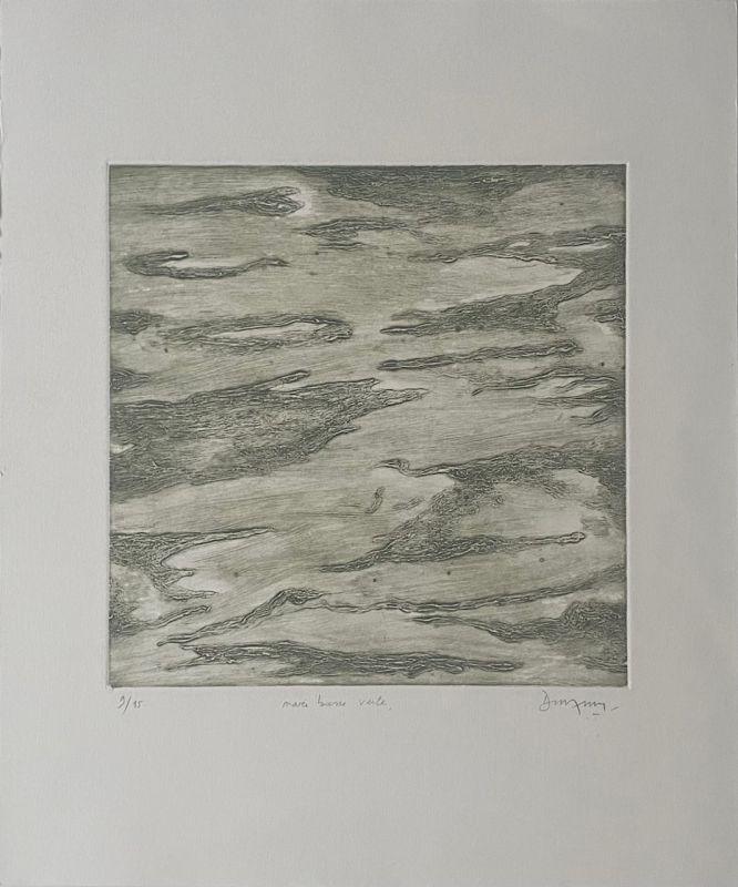 Marée basse verte (Stich) - Jean-Jacques  DOURNON