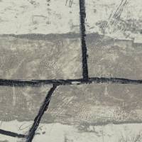 Profil et zone en gris (Stich) — James COIGNARD — Detailansicht