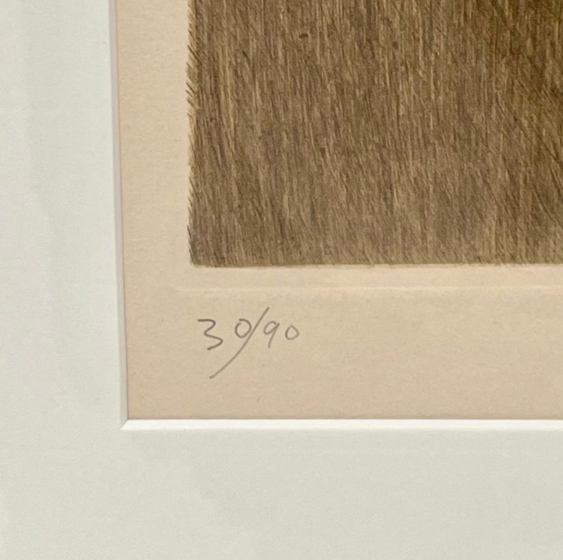 B&eacute;ryl (Stich) - Arthur Luiz  PIZA