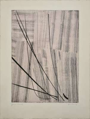 G20 (Eau-forte et aquatinte) - Hans HARTUNG