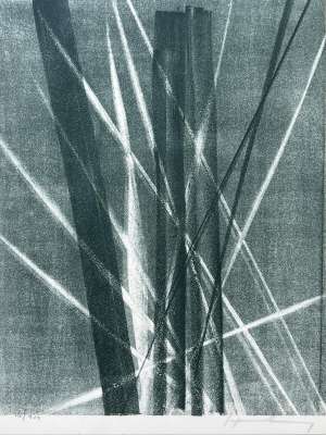 Homage to Hans Arp (Lithograph) - Hans HARTUNG