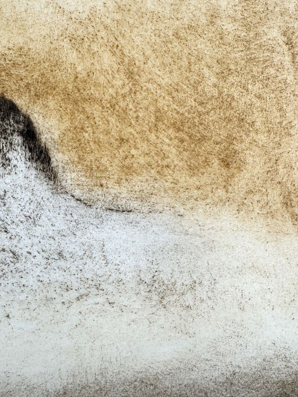 Becco di Mezzodi (Etching and aquatint) — Zoran MUSIC — Detail view