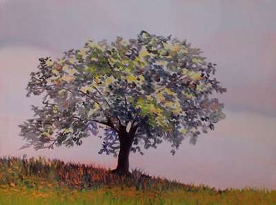 Tree II (Oil on copper ) - Sara FRATINI