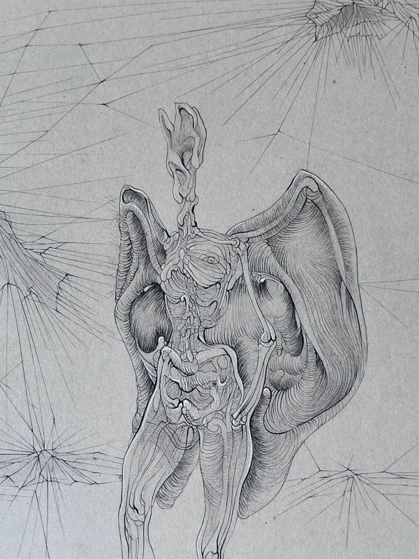 La chauve souris (Gravure) - Hans BELLMER