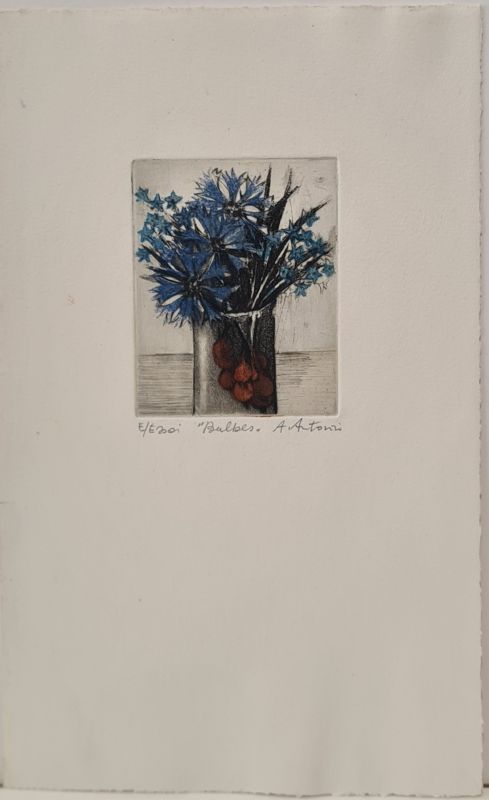 Bulbes (Gravure) - Annapia ANTONINI