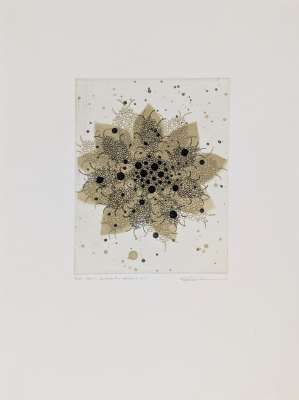 Fern - Butterfly effect e-1 (Gravure) - Seiko TACHIBANA