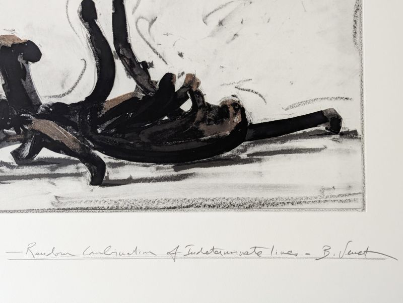 Random Combination of Indeterminate Lines IV (Grabado) - Bernar VENET
