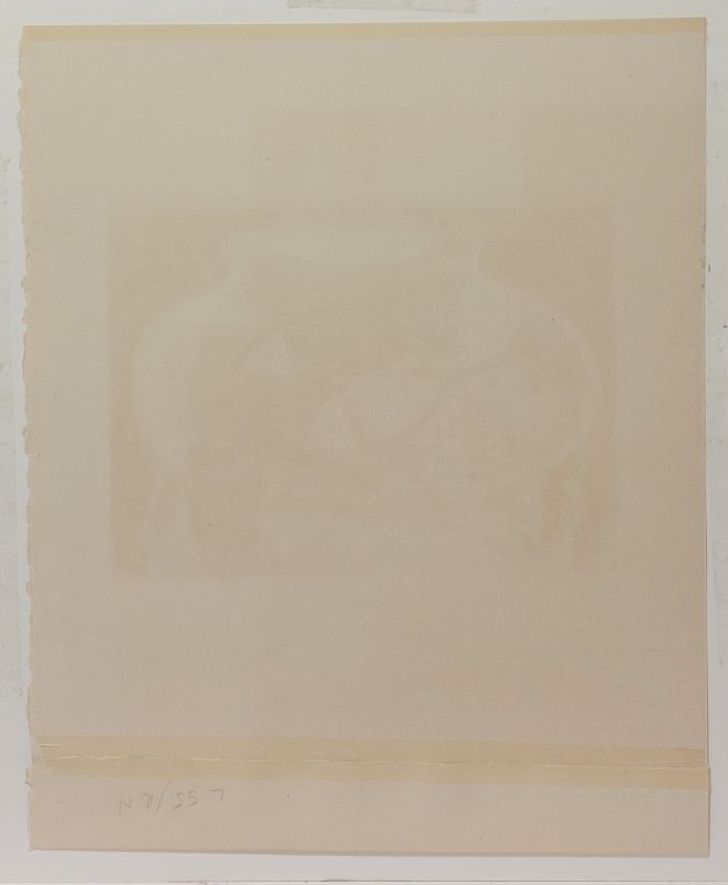 L'aquarium (Lithograph) - Georges BRAQUE