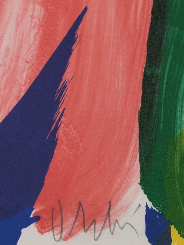 Signe-paysage (Lithograph) - Olivier DEBRE