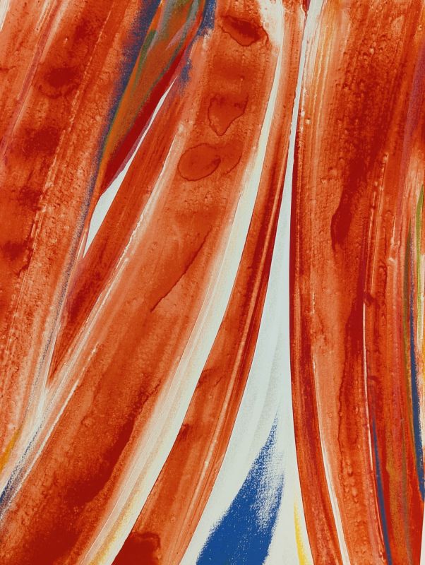 Le Rideau rouge (S&eacute;guier) (Lithographie) - Olivier DEBRE