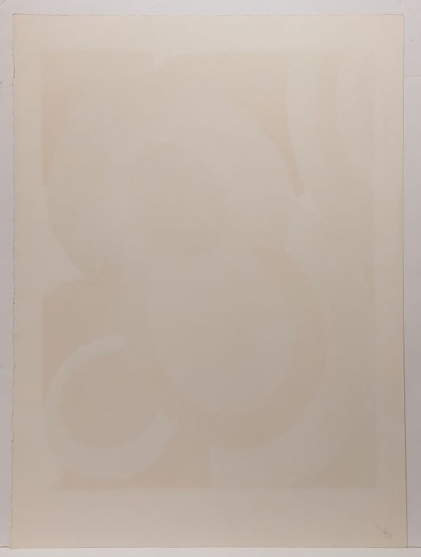 Vol de nuit (Lithographie) - Sonia DELAUNAY