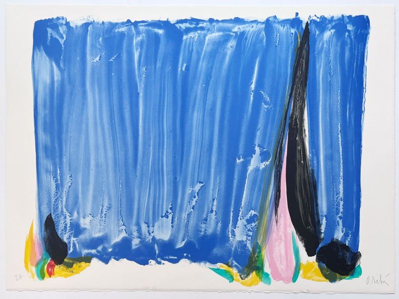 Signe-Paysage Loire (Lithographie) - Olivier DEBRE