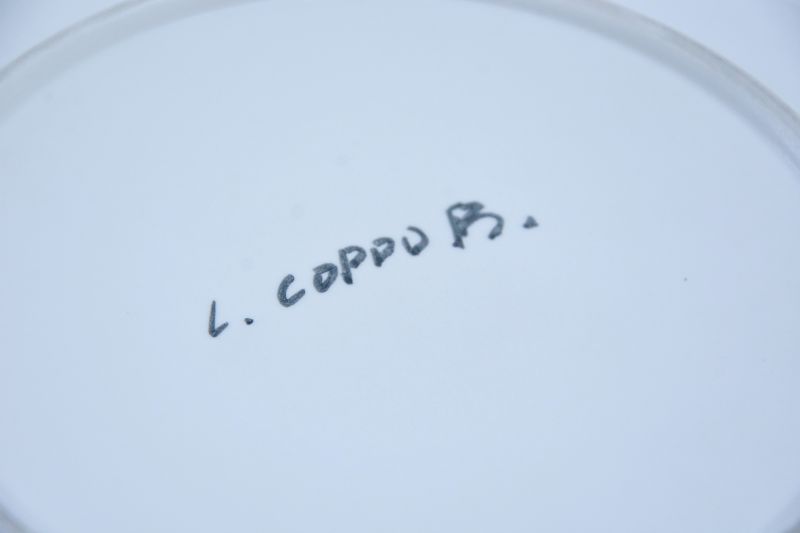 Ohne Titel (Keramik) - Sonia DELAUNAY