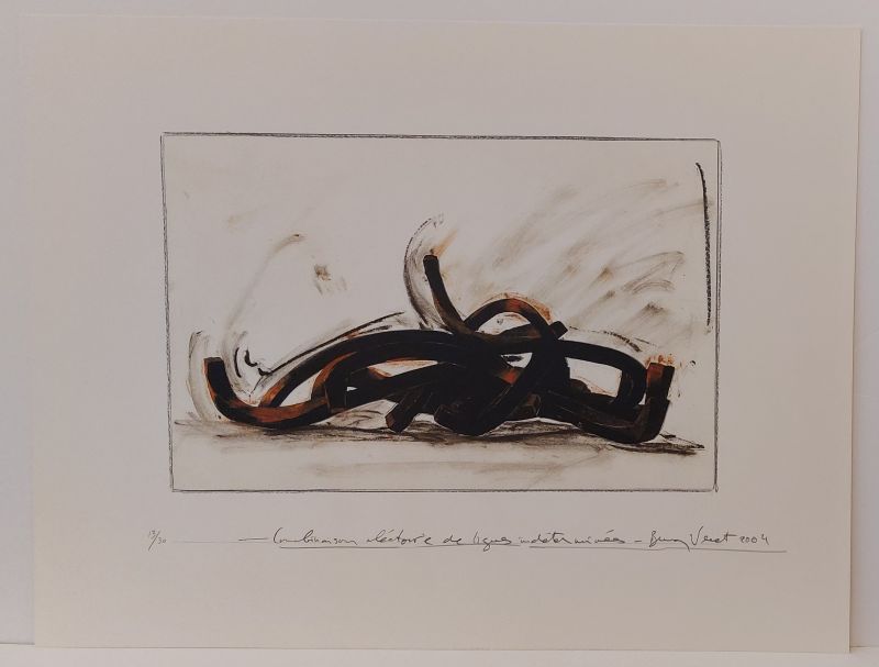 Combinaison aléatoire de lignes indéterminées (Sérigraphie) - Bernar VENET