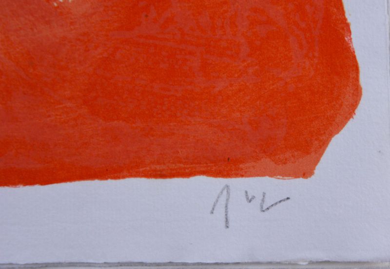 En sus voces, las aguas (Litografía) - Bram   VAN VELDE