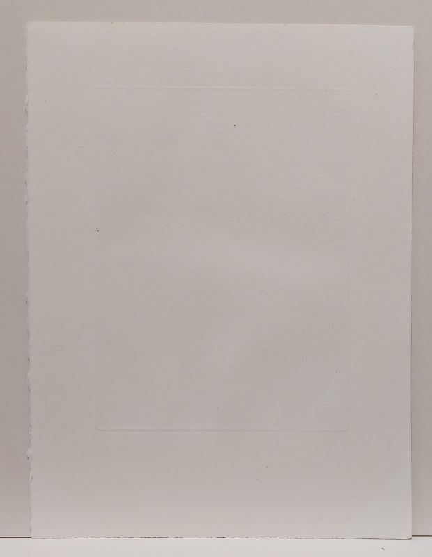 Beauregard (Radierung und Aquatinta) - Wou-ki  ZAO