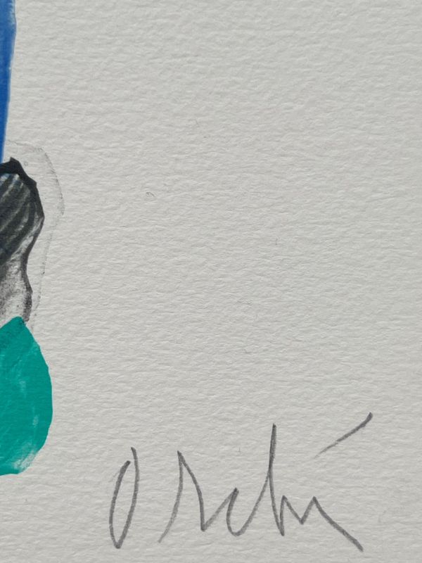 Signe-Paysage Loire (Lithographie) - Olivier DEBRE