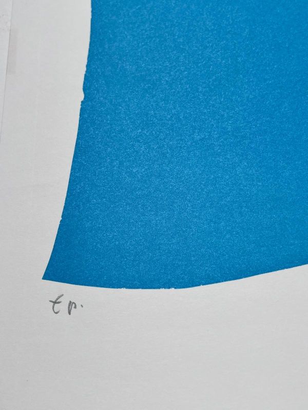 Sans titre (Lithograph) -  Artistes Divers