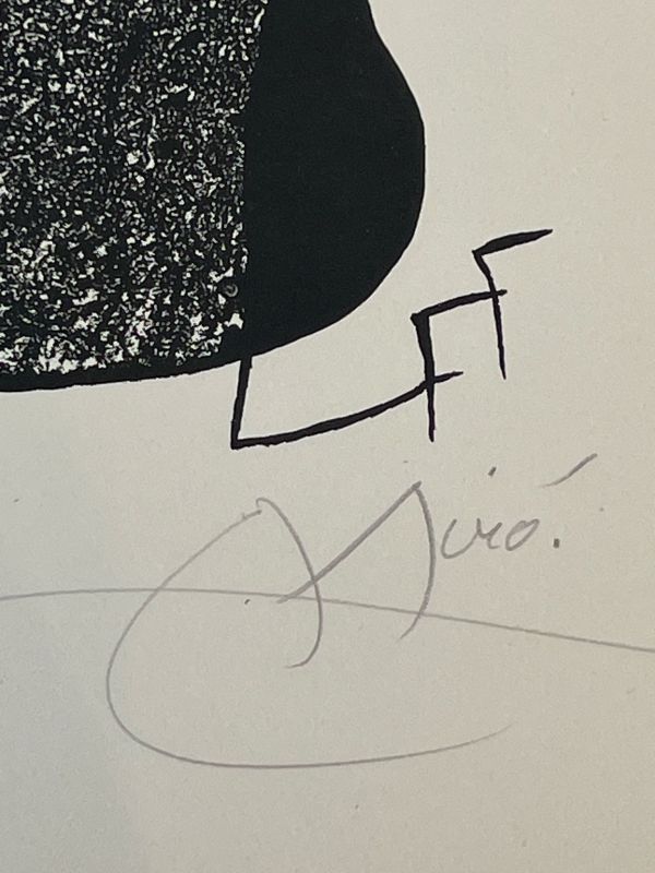 Joan Miro. Fotoscop (Lithographie) - Joan  MIRO