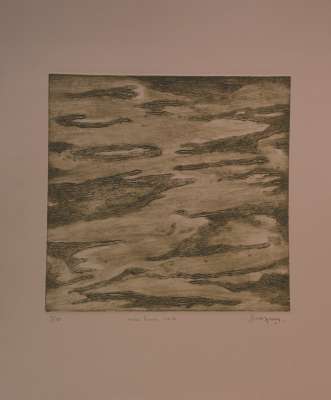 Marée basse verte (Gravure) - Jean-Jacques  DOURNON