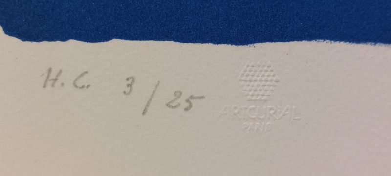 Vol de nuit (Lithographie) - Sonia DELAUNAY