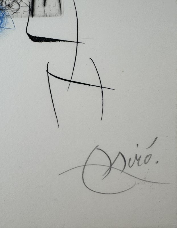 Miranda (Radierung) - Joan  MIRO
