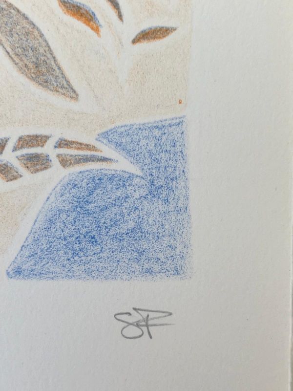 Phénomènes I (Lithographie) - Sara FRATINI