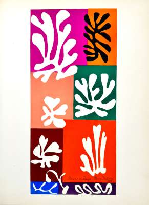 Fleurs de neige (Lithographie) - Henri  MATISSE