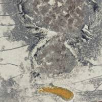 Profil et zone en gris (Stich) — James COIGNARD — Detailansicht