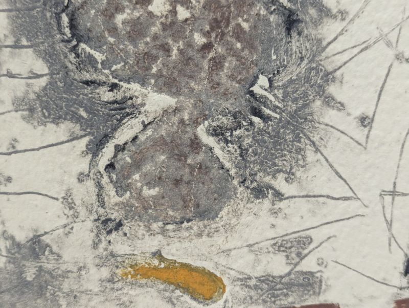 Profil et zone en gris (Stich) — James COIGNARD — Detailansicht