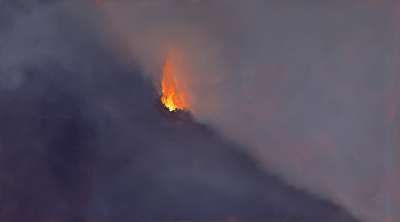 Incendi I (Öl auf Kupfer ) - Sara FRATINI