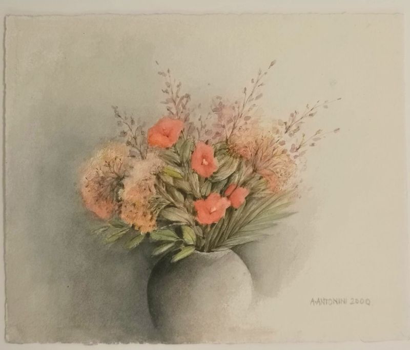Umbelliferen und Gräser (Aquarell (zeitgenössisch)) - Annapia ANTONINI