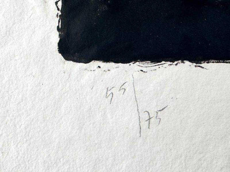 El pato (Litografía) - Georges BRAQUE