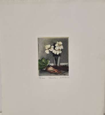 Racine (Gravure) - Annapia ANTONINI