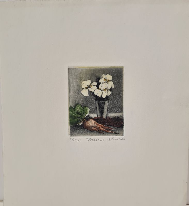 Racine (Gravure) - Annapia ANTONINI