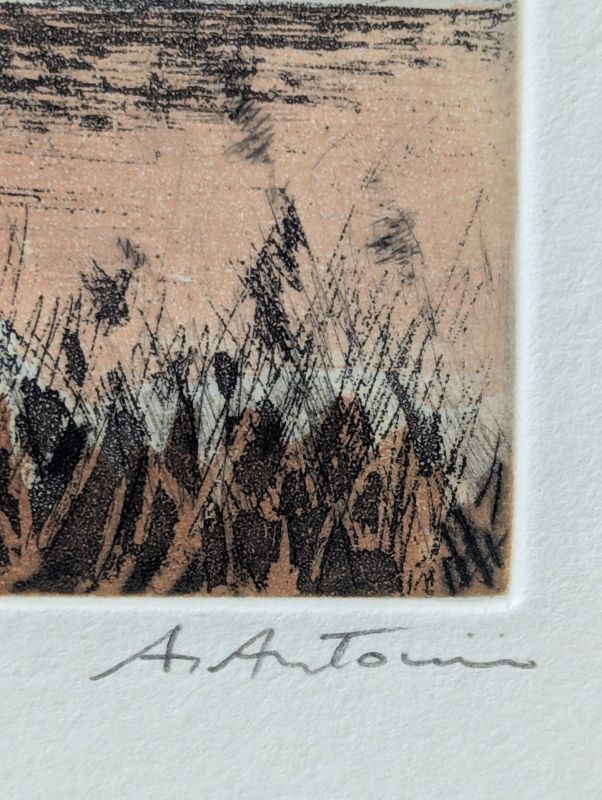 Morgenhimmel (Aquatinta) - Annapia ANTONINI