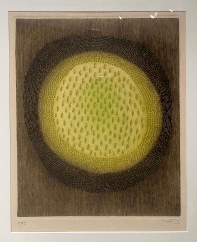 B&eacute;ryl (Stich) - Arthur Luiz  PIZA