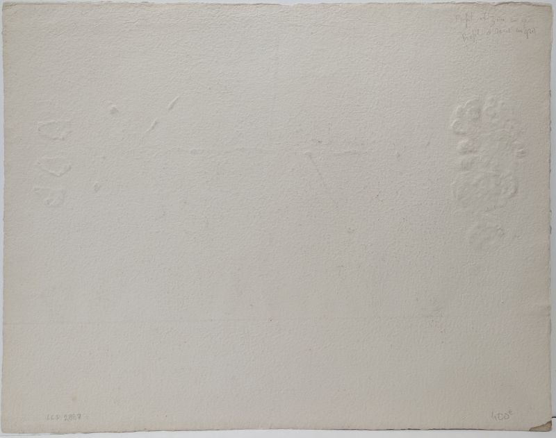 Profil et zone en gris (Stich) — James COIGNARD — Rückansicht