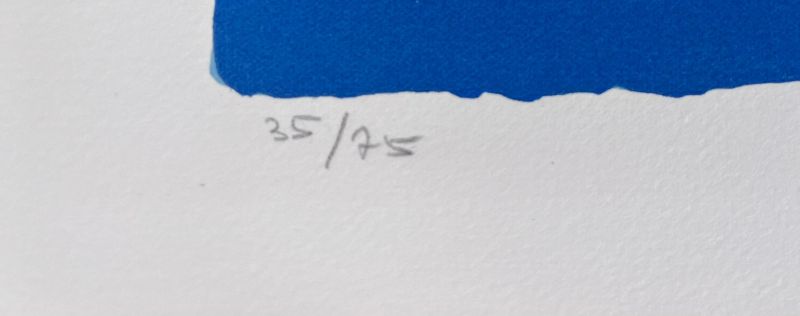 Viking (Farblithographie) - Sonia DELAUNAY