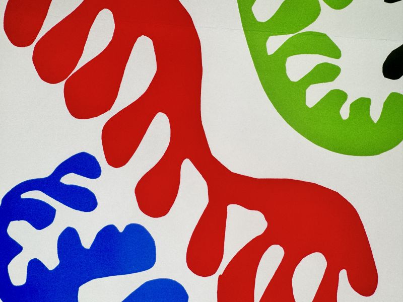 Le lagon (Lithographie) - Henri  MATISSE