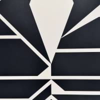 Les années Cinquante (Sérigraphie) — Victor VASARELY — Zoom détail