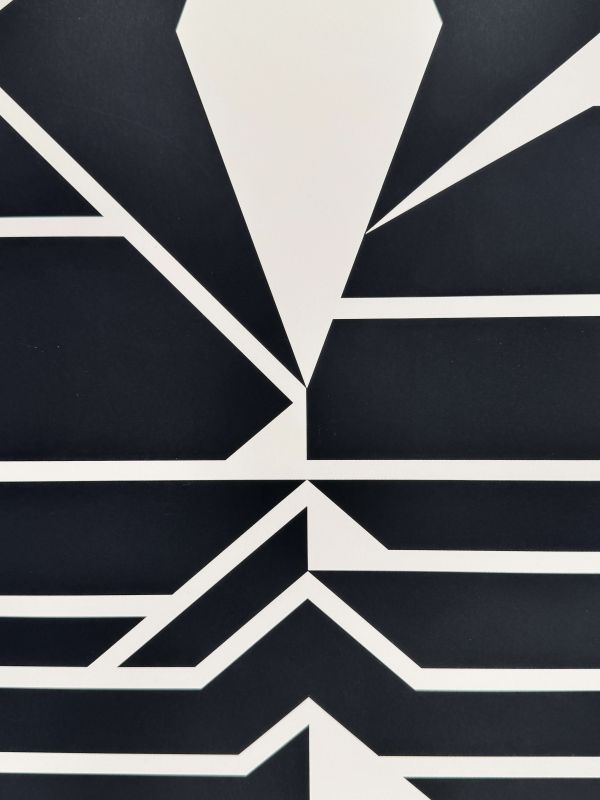 Les années Cinquante (Sérigraphie) — Victor VASARELY — Zoom détail