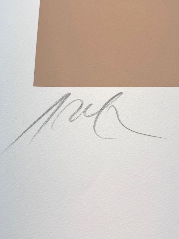 Sans titre (Sérigraphie) - Hans ARP