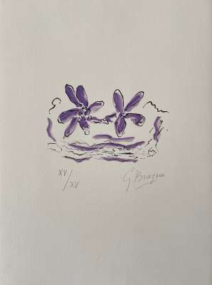 Two purple flowers "Lettera Amorosa" (Lithograph) - Georges BRAQUE