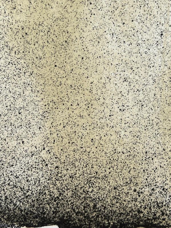 Homage to Hans Arp (Lithograph) - Giuseppe  SANTOMASO