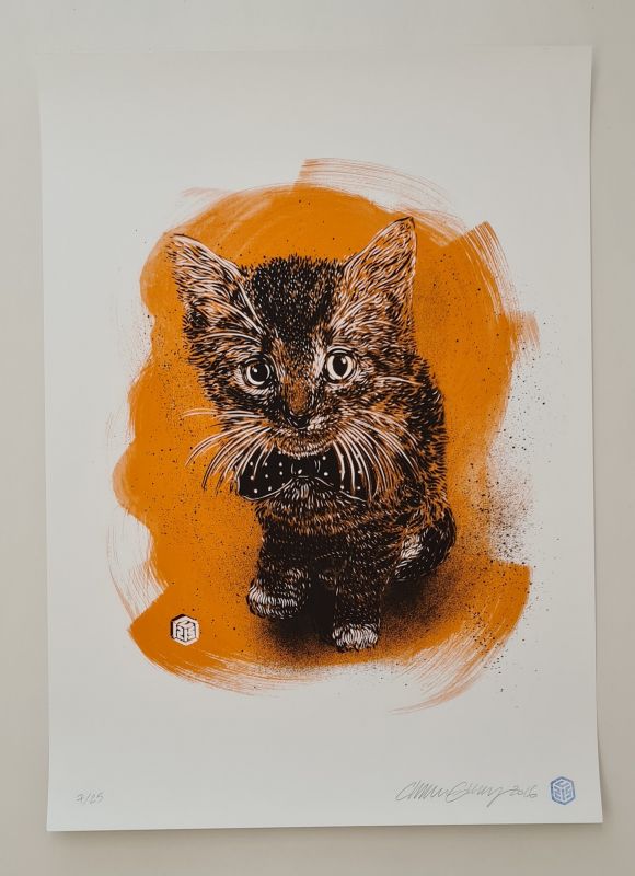 C215 (Christian Guémy) (1973) / Charly caramel orange (Sérigraphie) -  STREET ART